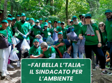gruppo di persone nel bosco per raccogliere rifiuti