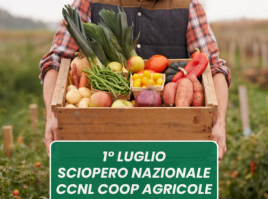 l'immagine ritrae una cassetta di frutta piena, tenuta in mano da un contadino